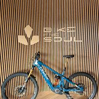 Pivot Shuttle LT Pro XO