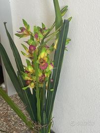 Pianta finta ornamentale tipo orchidea