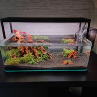 Nano acquario 17L + accessori