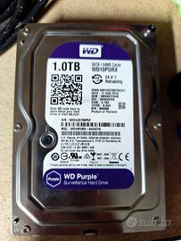Hard Disk HDD WD western Digital purple