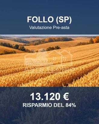 Immobile in asta di 196525 m² a Beverino