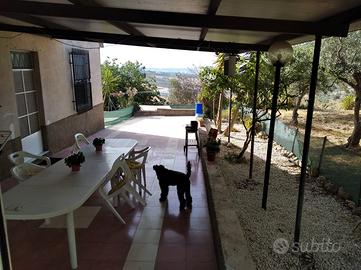 Casa indipendente