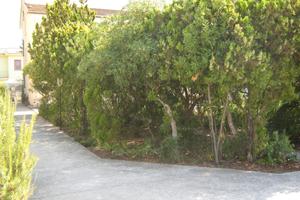 Paestum via Marittima