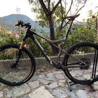 Orbea oiz