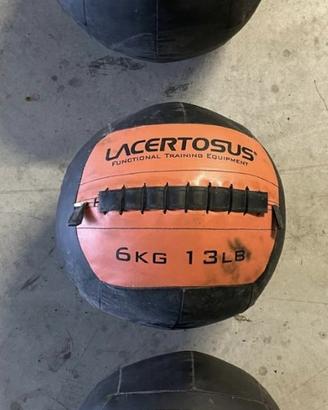 WALL BALL Lacertosus