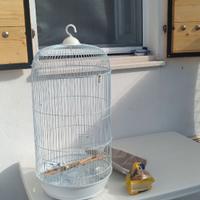 Gabbia per uccellini