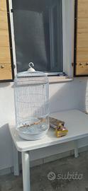 Gabbia per uccellini