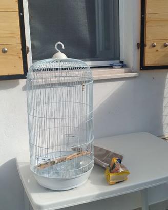 Gabbia per uccellini