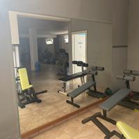 7 specchi da palestra
