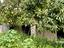 Immagine 28