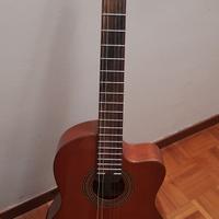 IBANEZ G 300