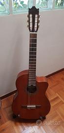 IBANEZ G 300