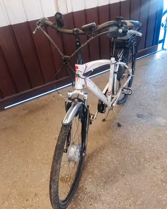 bicicletta elettrica 
