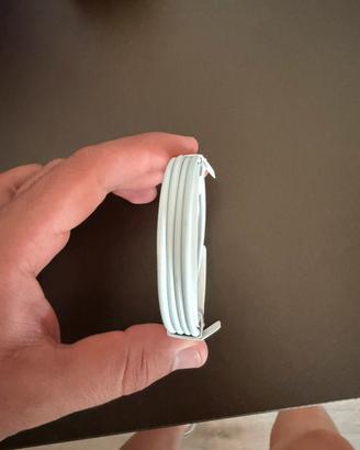 Caricatore Apple originale