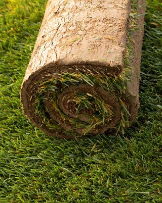 Prato Erba a rotoli |Bari | Taranto | Matera | Le