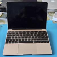 Apple MacBook Retina 12" (modello A1534)