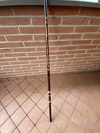 Canna Bolognese Milo Chromium KX3060 5m