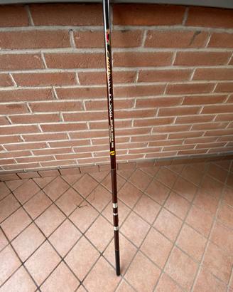 Canna Bolognese Milo Chromium KX3060 5m