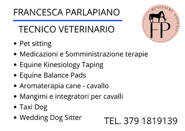 Tecnico veterinario
