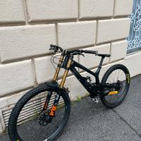 Yt Tues MULLET