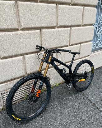 Yt Tues MULLET