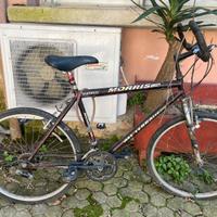 Bicicletta uomo morris