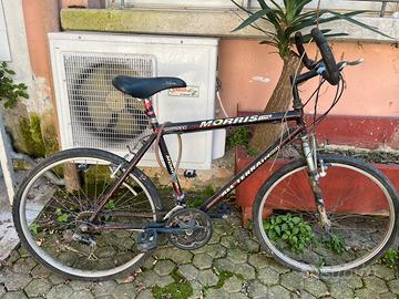 Bicicletta uomo morris