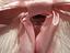Immagine 2