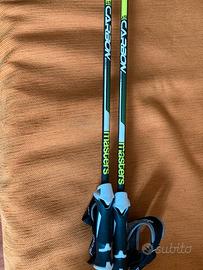 Bastoncini da sci alpino