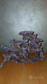 Arredamento acquario corallo