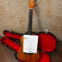Takamine acustica fp317s