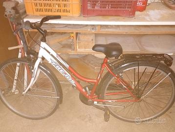 Bicicletta donna