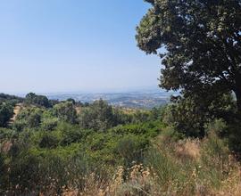 Perugia