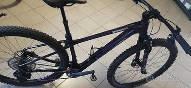 MTB  Lee cougan Rampage 428 RE EAGLE 2024
