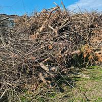 legna da ardere medio fina e qualche tronco 