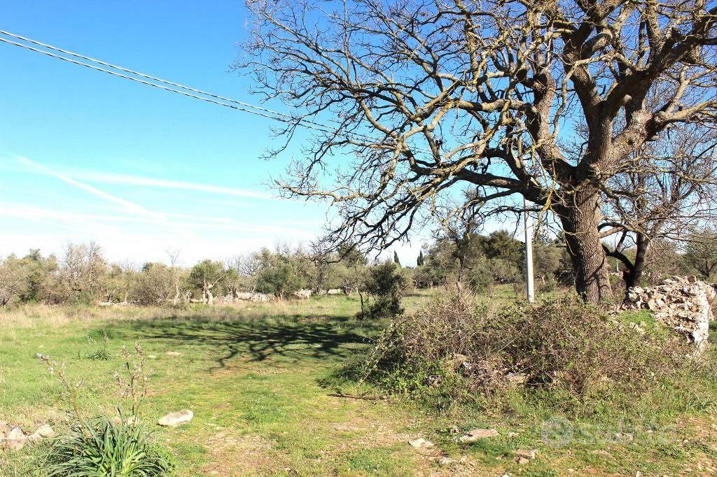 Terreno di 2184 m² a Santeramo in Colle - Vista 2