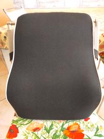 Cuscino di supporto lombare
