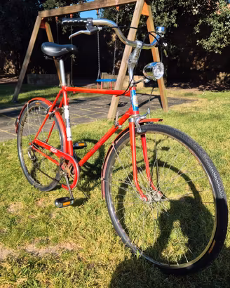 Bicicletta condorino