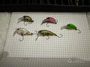 Crank trout area lotto 1