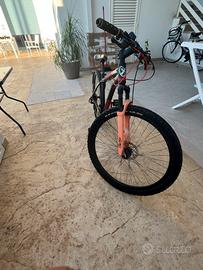 bicicletta