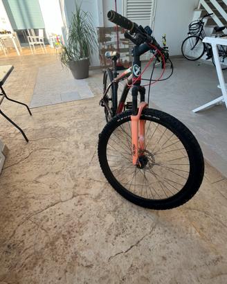 bicicletta
