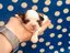 Immagine 22