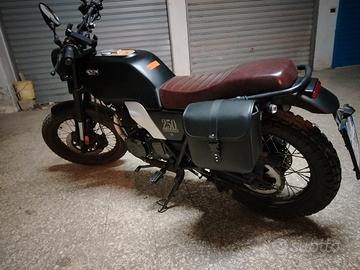 Brixton Glanville 250 