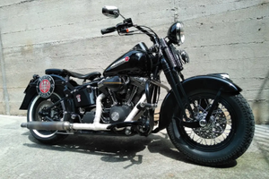 Harley davidson 1450 springer