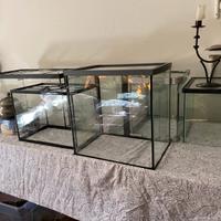 5 acquari + 1 terrario