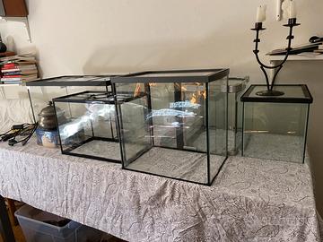 5 acquari + 1 terrario