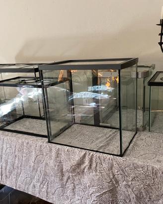 5 acquari + 1 terrario