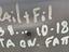 Immagine 13