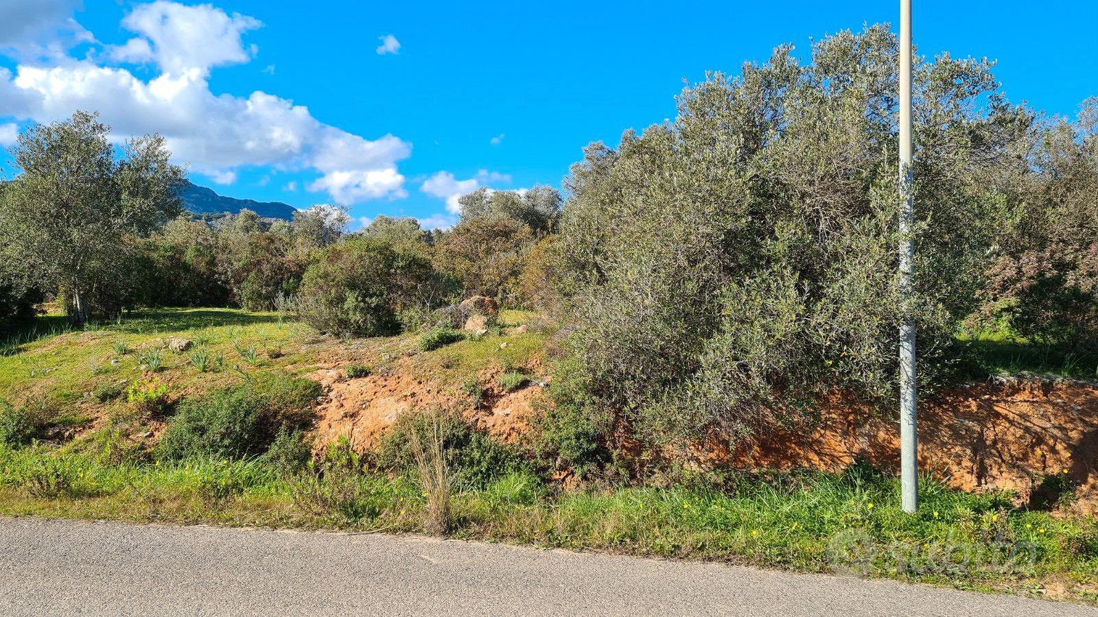 Terreno edificabile Poggio dei Pini - Vista 3