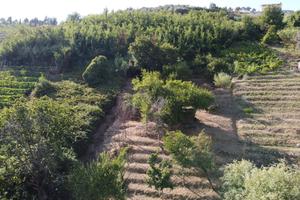 Terreno agricolo località Candia